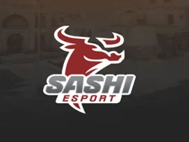 Sashi-Esports-Mengenal-Lebih-Dekat-Dunia-esports